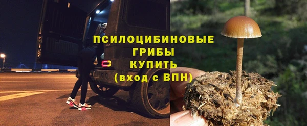 прущие крисы Зеленодольск
