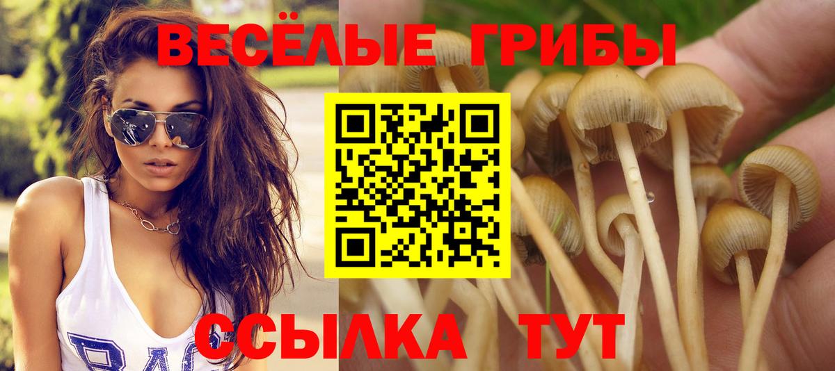 Псилоцибиновые грибы Magic Shrooms  Вход с VPN  Сегежа  Псилоцибиновые грибы Magic Shrooms 