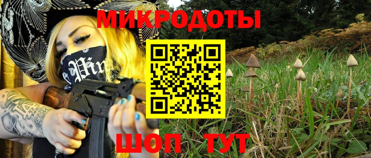 Галлюциногенные грибы мицелий Сегежа