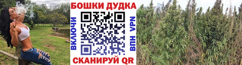 МАРИХУАНА SATIVA & INDICA  купить   Сегежа 